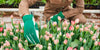jardinería con tulipanes - cuidado de las plantas 