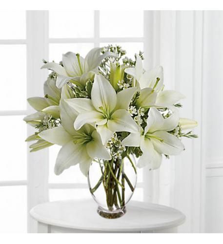 Florero paz
