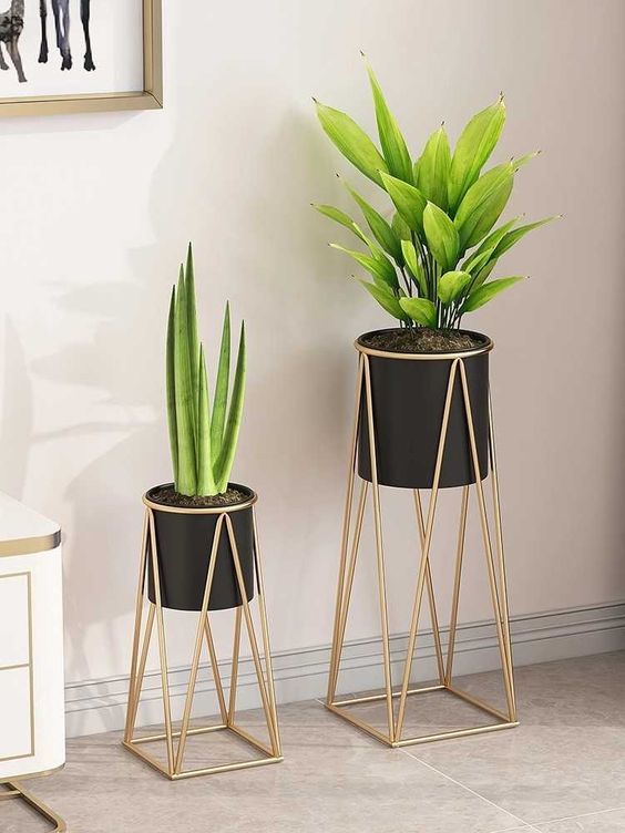 Macetero Pedestal Plantas