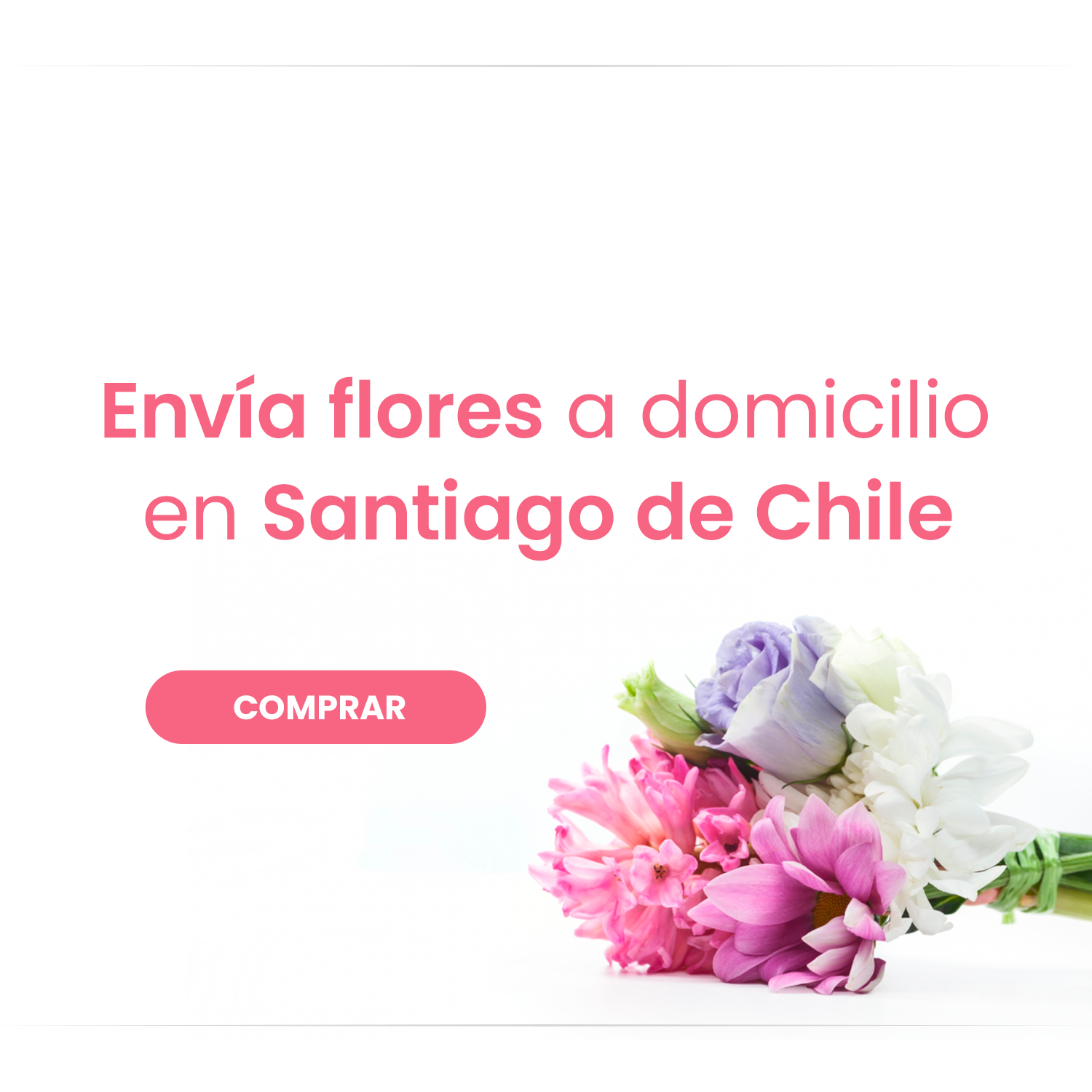 Rosa Eterna en Flores en Santiago