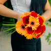 Ramo Gerberas y rosas